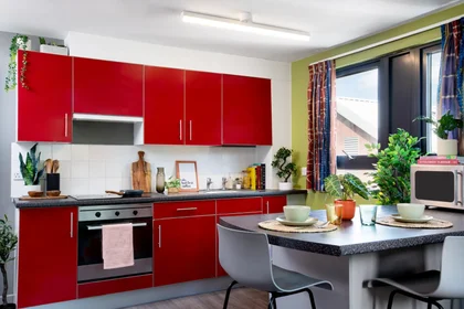 私人房间 在住宅内 在 RAHERE COURT, Toby Ln, London E1 4DW, United Kingdom, 20的图像9