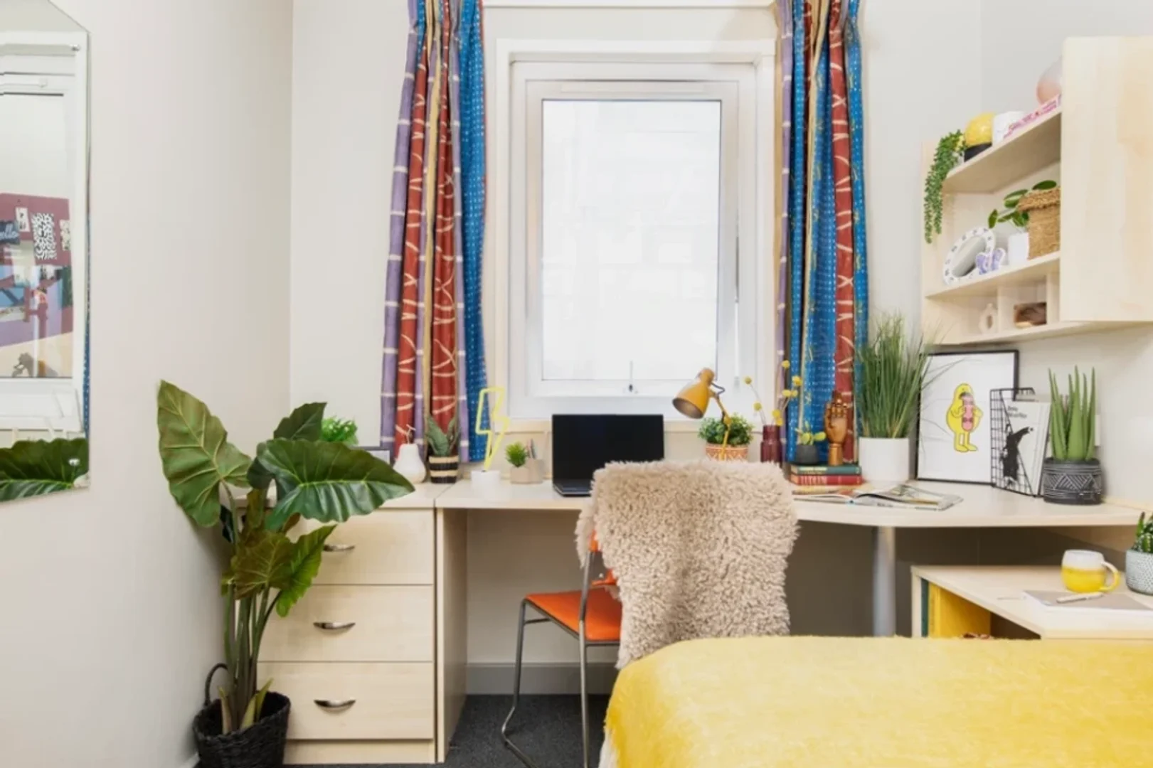 经济实惠的学生公寓，位于，交通便利