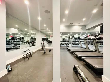 Alojamiento entero en residencia en 951 Madison Street,  3B, Bushwick, Brooklyn, NY, 11221, imagen 8 de 13