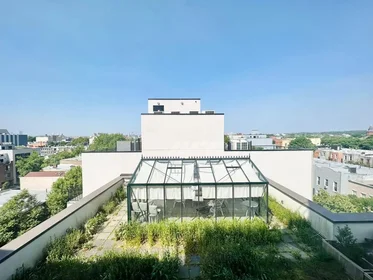 Alojamiento entero en residencia en 951 Madison Street,  3B, Bushwick, Brooklyn, NY, 11221, imagen 10 de 13