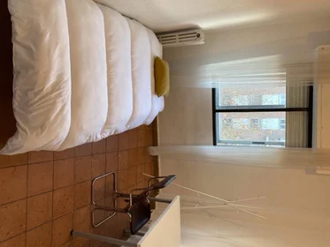 Privatzimmer in der Madrid, 28001, bild 19 von 32
