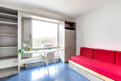 Prywatny pokój w rezydencji Lyon, 69009, obraz 1 10