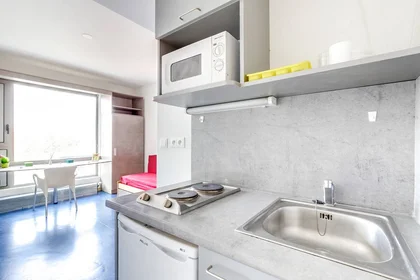Prywatny pokój w rezydencji Lyon, 69009, obraz 3 10