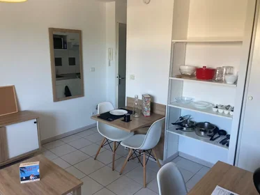 Stanza privata in residence in Toulouse, 31400, immagine 2 di 22