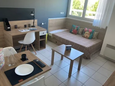 Stanza privata in residence in Toulouse, 31400, immagine 3 di 22