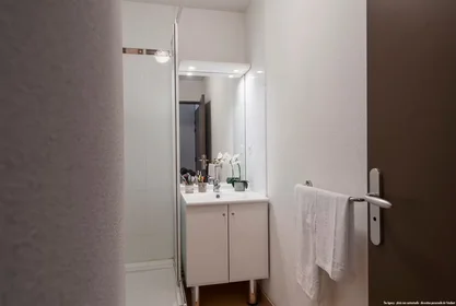 Stanza privata in residence in Toulouse, 31400, immagine 4 di 22