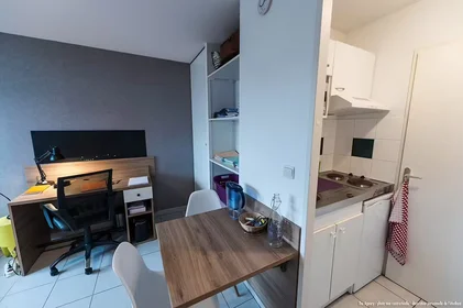Stanza privata in residence in Toulouse, 31400, immagine 8 di 22