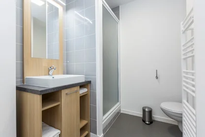 Habitación privada en residencia en Dijon, 21000, imagen 2 de 7
