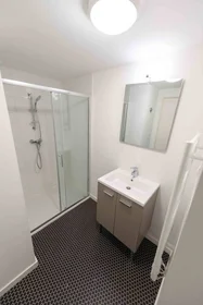 Prywatny pokój w rezydencji Tours, 37200, obraz 2 38