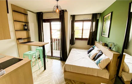 Stanza privata in residence in Saint-Étienne, 42000, immagine 3 di 15