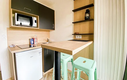 Stanza privata in residence in Saint-Étienne, 42000, immagine 4 di 15