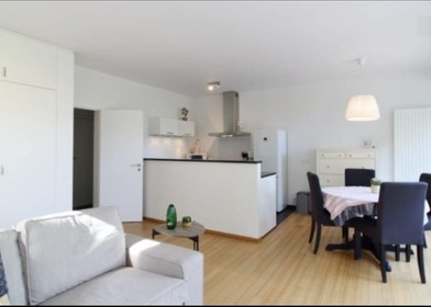 Zimmer mit Doppelbett zu vermieten Geneva