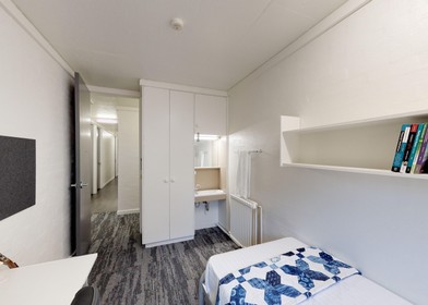 Chambre à louer dans un appartement en colocation à Canberra-queanbeyan