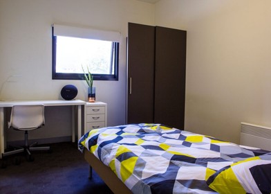 Melbourne de aylık kiralık oda
