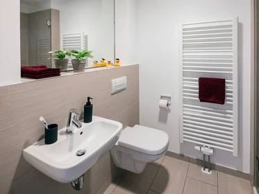 Privatzimmer in der Leonis Münster 48151, bild 8 von 9