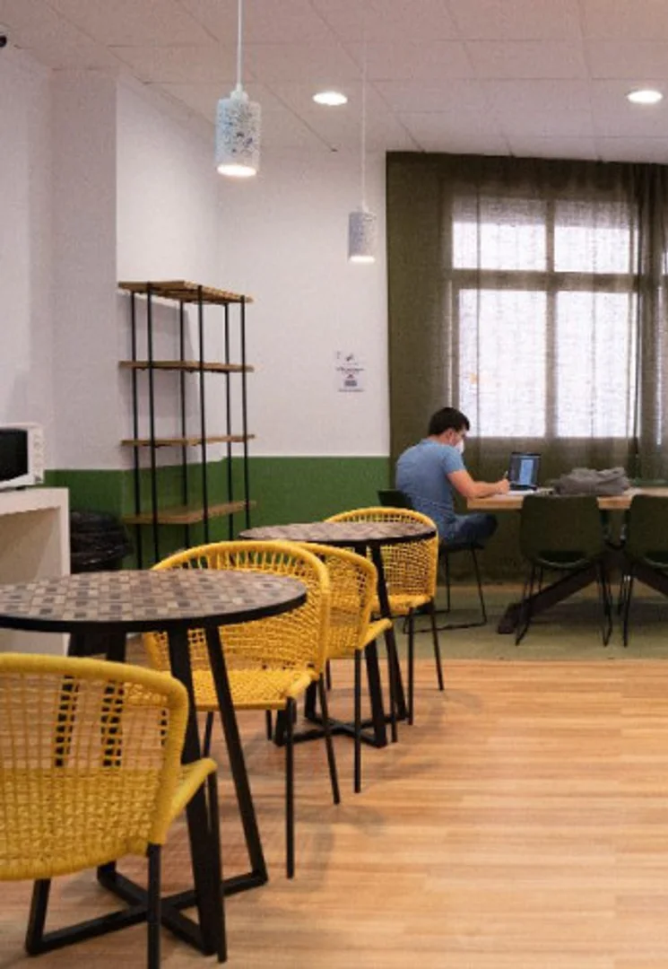 Budget-friendly student room close to campus in 