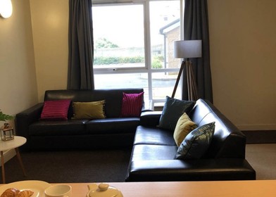 Room for rent in a shared flat in Bradford