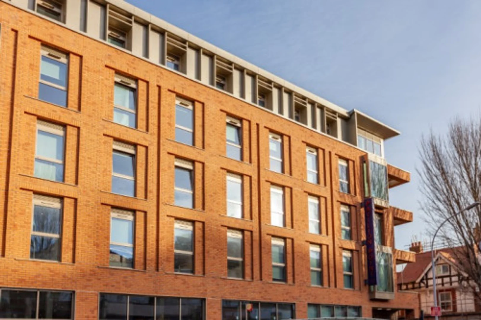 Affordable room for students with ample lighting in 