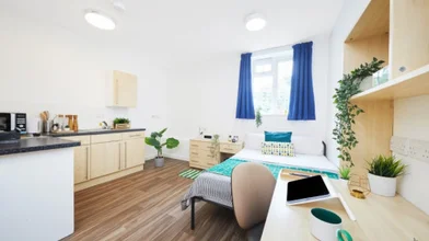 Chambre à louer dans un appartement en colocation à {area}