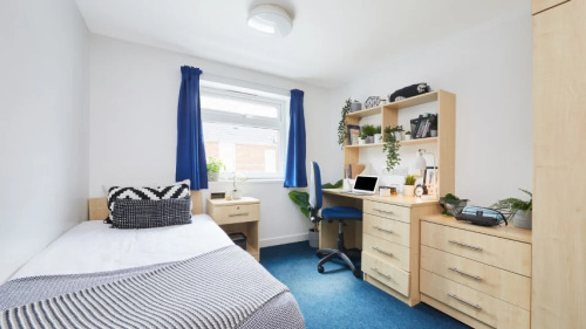 Chambre abordable pour les étudiants avec un bon éclairage dans 