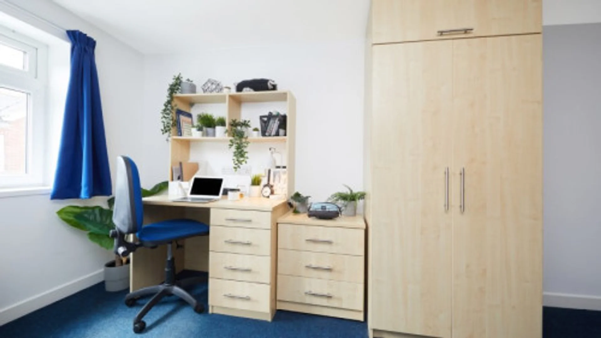 Chambre confortable pour étudiants disponible dans 