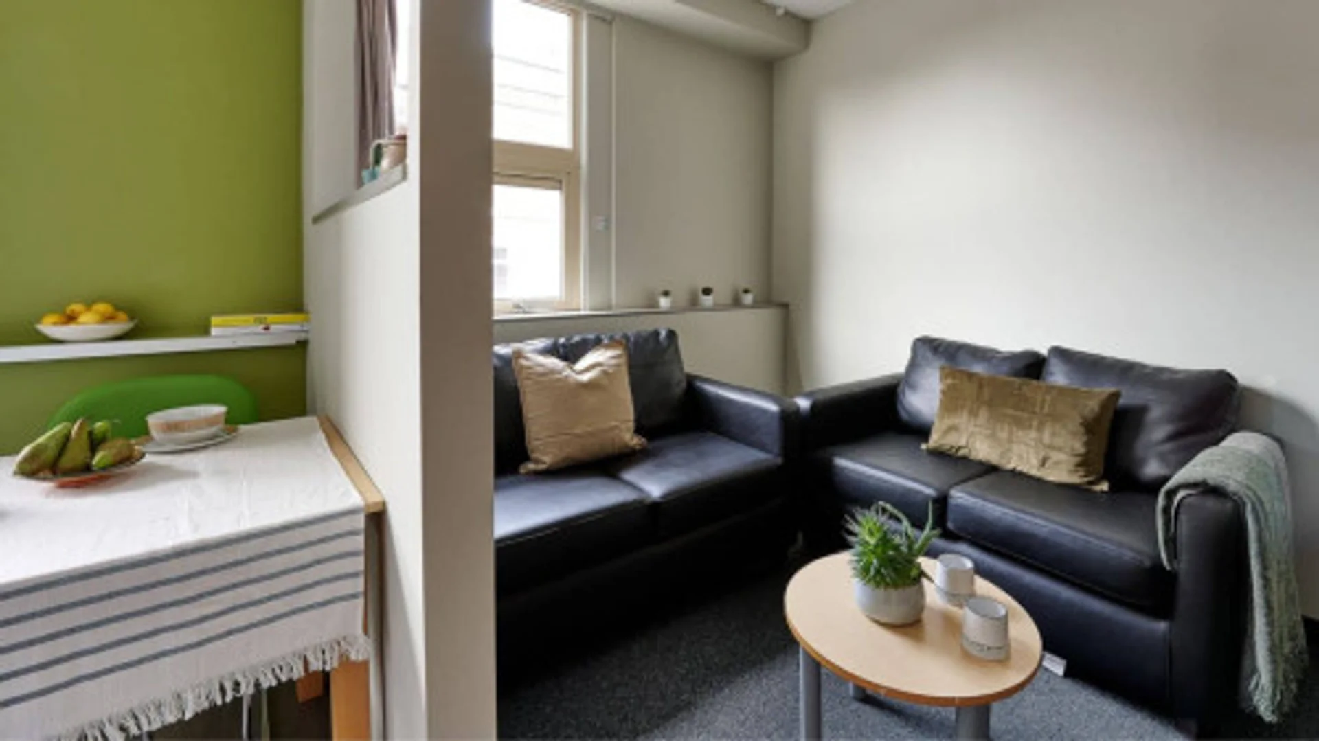 Habitación estudiantil funcional perfecta para estudiar en 