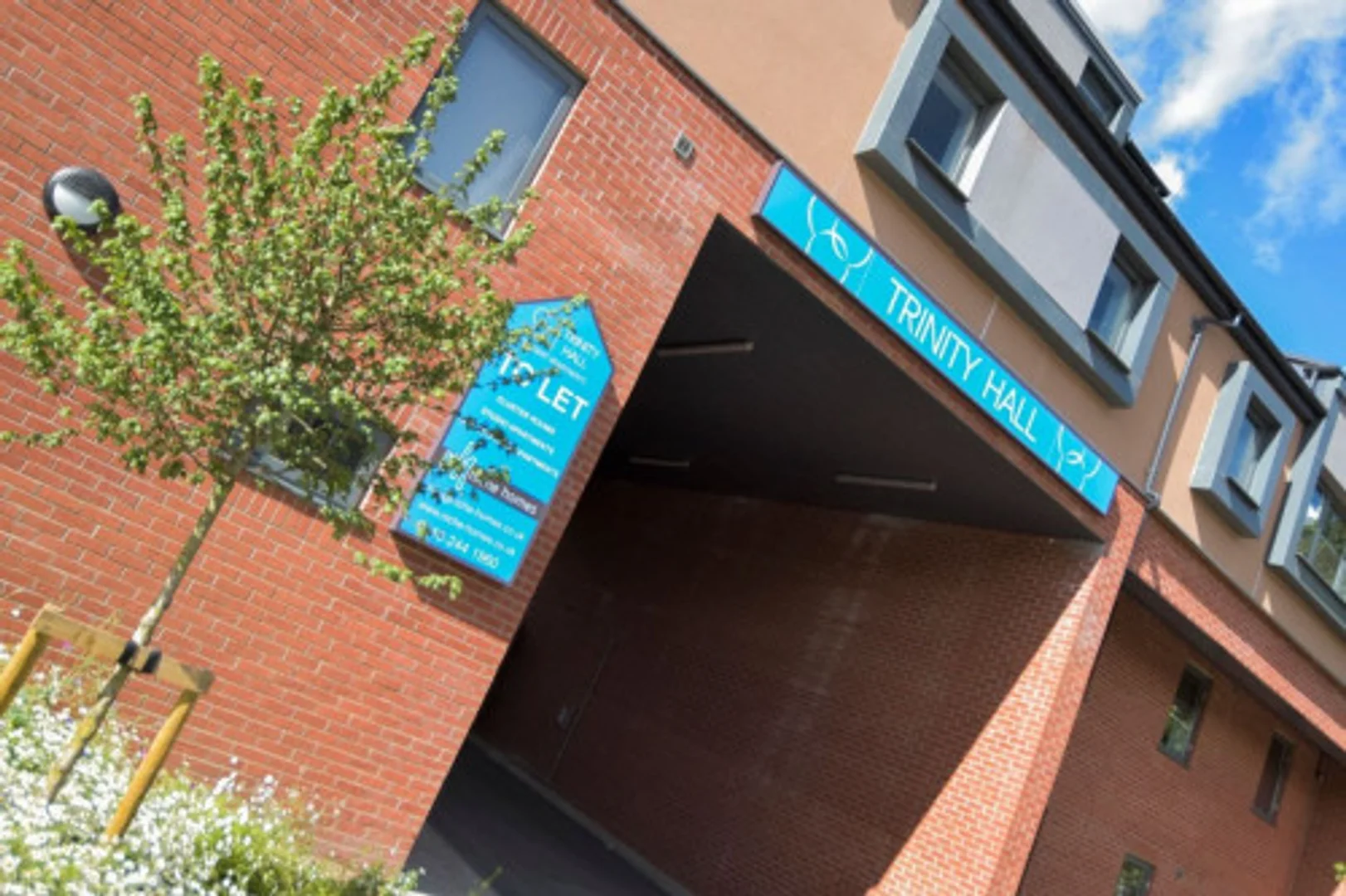 Budget-friendly student room close to campus in 