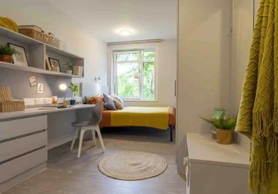 Private room at iQ Tufnell House London N7 0EG, image 7 of 12