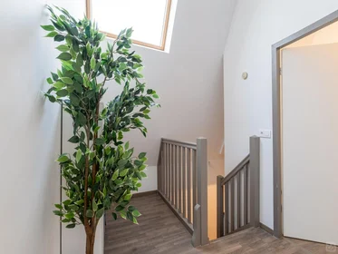 Chambre privée à Bacalan, Bordeaux, image 7 de 10