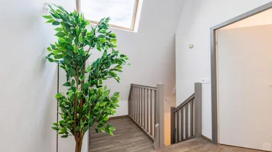 Chambre privée à Bacalan, Bordeaux, image 7 de 10