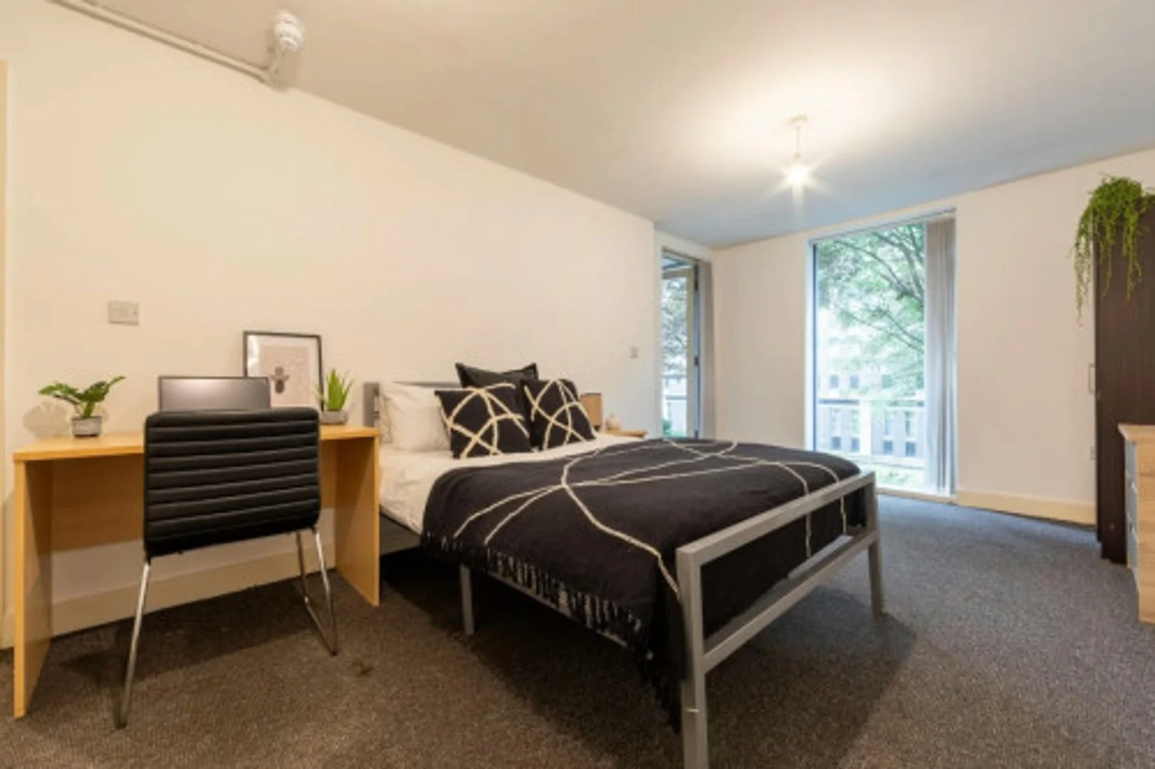 Affordable room for students with ample lighting in 