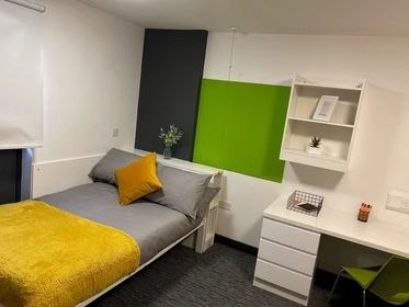 Stanza privata in St James' Point Roost Newcastle NE4 5SU, immagine 11 di 20