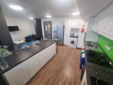 Stanza privata in St James' Point Roost Newcastle NE4 5SU, immagine 7 di 20