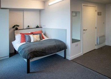 Habitación en alquiler con cama doble Norwich