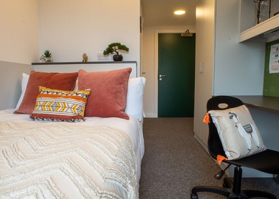 Zimmer mit Doppelbett zu vermieten Norwich