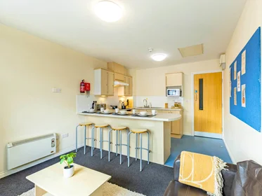 私人房间 在 Foundry Court Preston PR1 7EA, 12的图像10