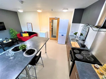 Stanza privata in Jubilee Court Preston PR1 2XP, immagine 8 di 12