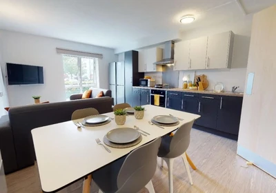 Özel oda konumu iQ Student Quarter Salford M6 6FN, 8 11 görüntüsü