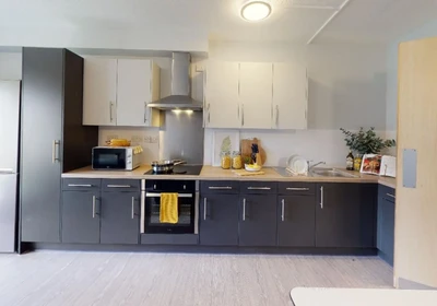 Özel oda konumu iQ Student Quarter Salford M6 6FN, 9 11 görüntüsü