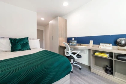 Privatzimmer in der Hollis Croft Roost Sheffield S1 4RR, bild 1 von 10