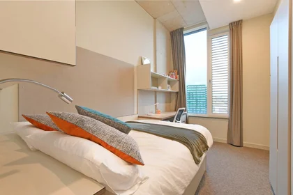 Stanza privata in LIV Student Sheffield Sheffield S11 8HY, immagine 12 di 20