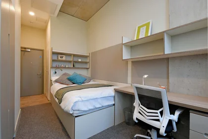 Stanza privata in LIV Student Sheffield Sheffield S11 8HY, immagine 6 di 20