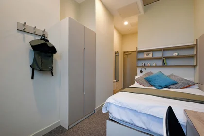 Stanza privata in LIV Student Sheffield Sheffield S11 8HY, immagine 7 di 20