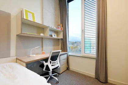 Stanza privata in LIV Student Sheffield Sheffield S11 8HY, immagine 8 di 20