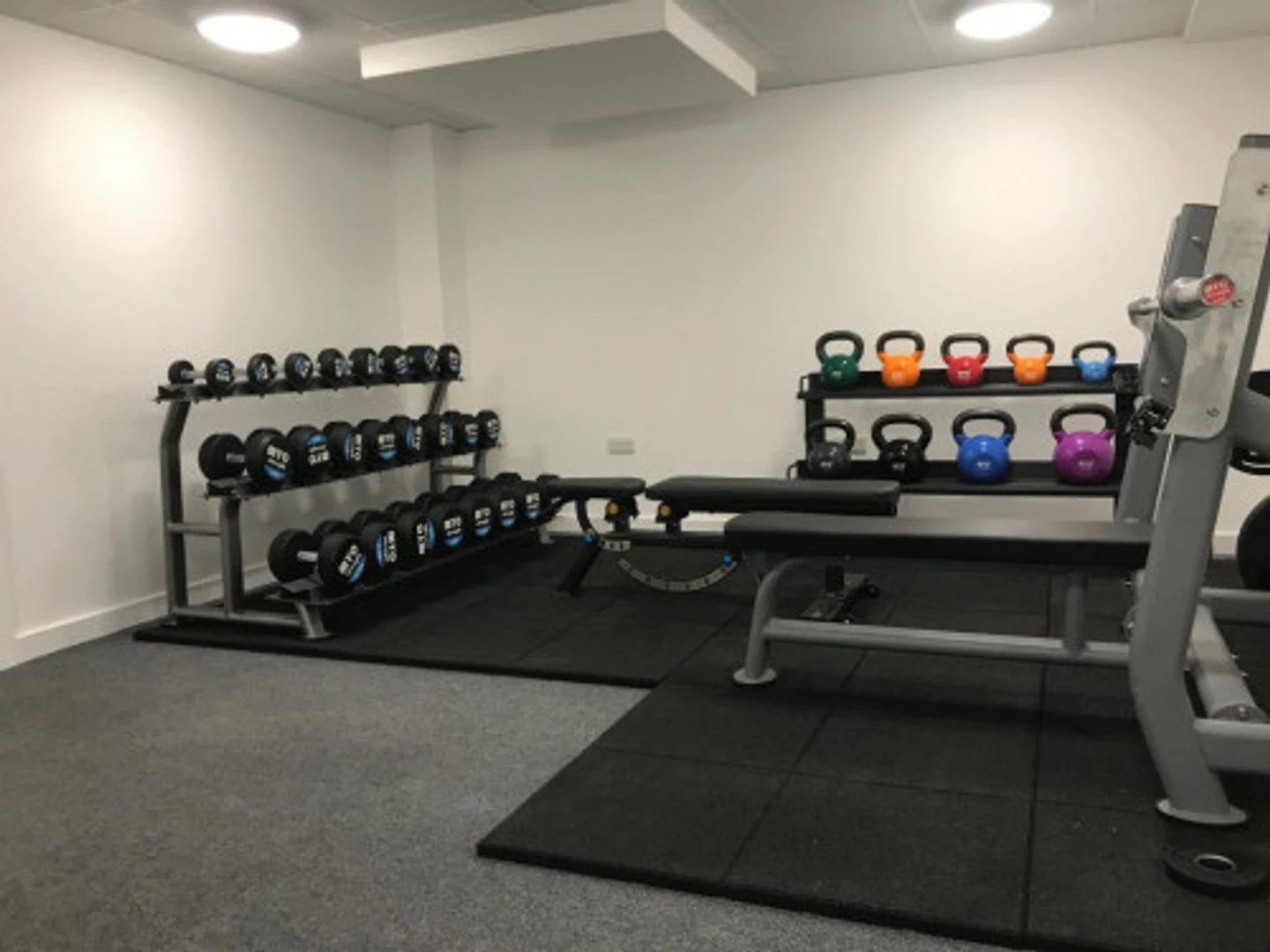 Camera per studenti economica vicino al campus a 