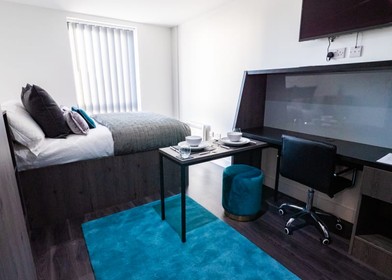 Habitación en alquiler con cama doble Newcastle Upon Tyne