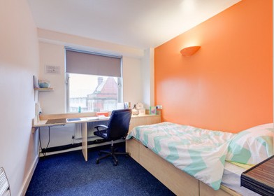 Bright private room in Sunderland