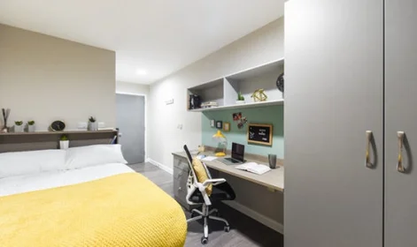 私人房间 在 St David's Roost Swansea SA1 2DN, 10的图像6