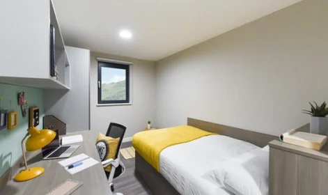 私人房间 在 St David's Roost Swansea SA1 2DN, 10的图像7