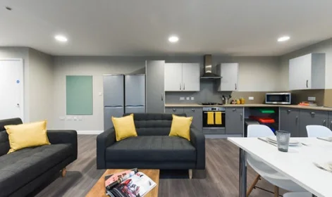 私人房间 在 St David's Roost Swansea SA1 2DN, 10的图像8